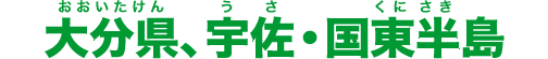 啪AFE