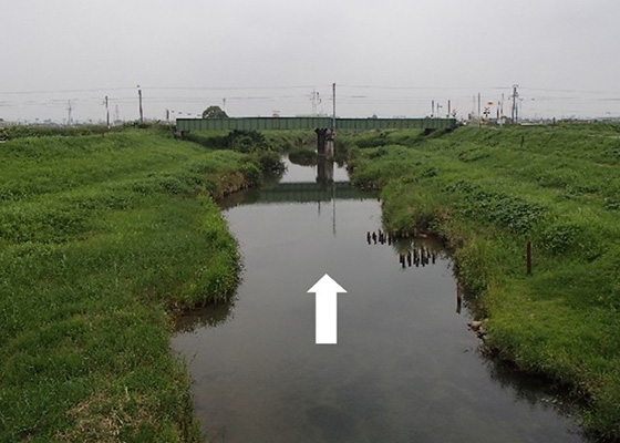 城原川中流部の様子の写真