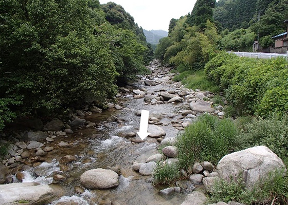 城原川上流部の様子の写真