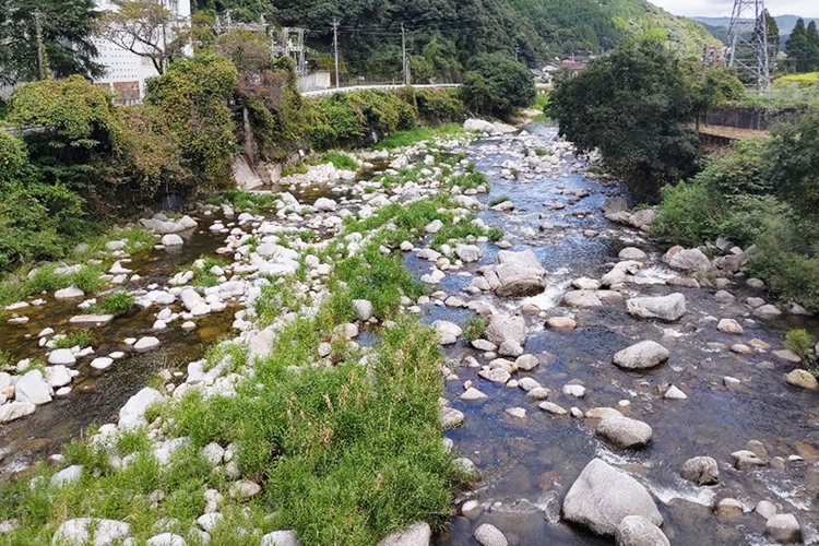 嘉瀬川上流部の様子の写真