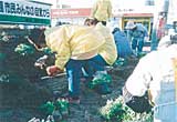 植樹活動写真