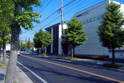 銀杏の街路樹