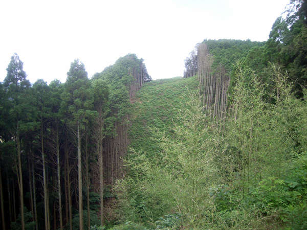 平成22年7月(橋の脚を作る前です。木を伐採している所に道路を作ります。)