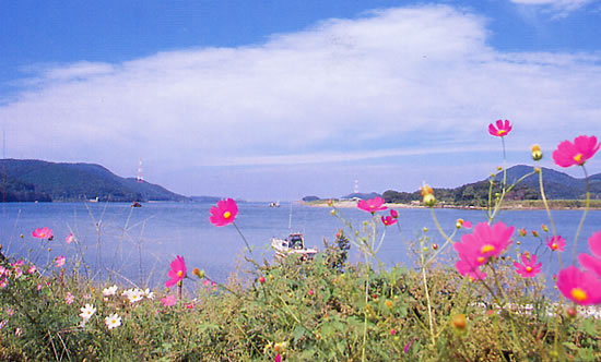 秋の川内川(薩摩川内市)