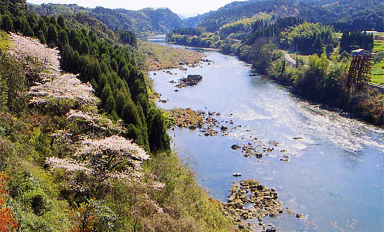 おしどり橋からの川内川(さつま町)