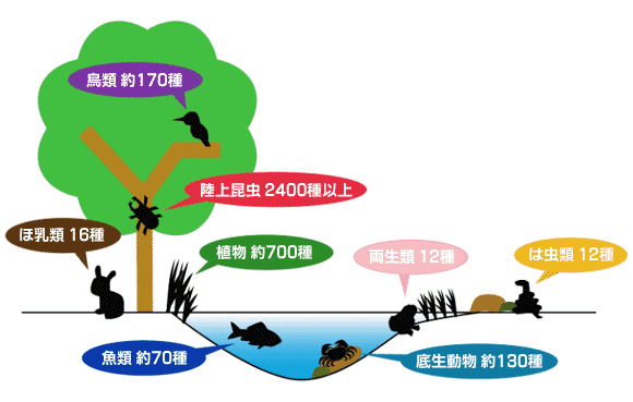 川内川の生き物分布図
