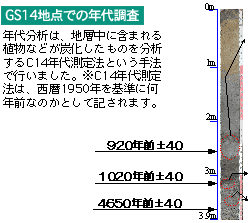 GS14地点での年代調査