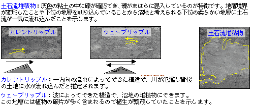 GS14地点での年代調査