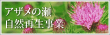 アザメの瀬自然再生事業