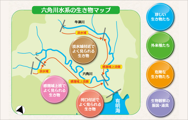 六角川水系の生き物マップ