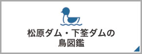 松原ダム・下筌ダムの鳥図鑑