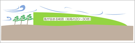 飛砂防止や防風・潮風害防止の役割