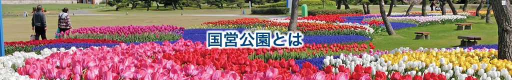 国営公園とは