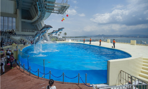 〈ショープール〉博多湾との一体感