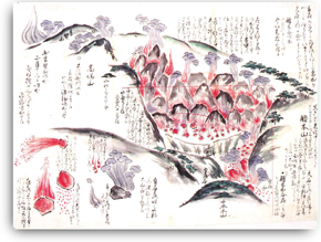 穴迫谷溶岩流図