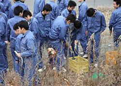 下草刈りの状況