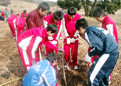高校生の植樹活動