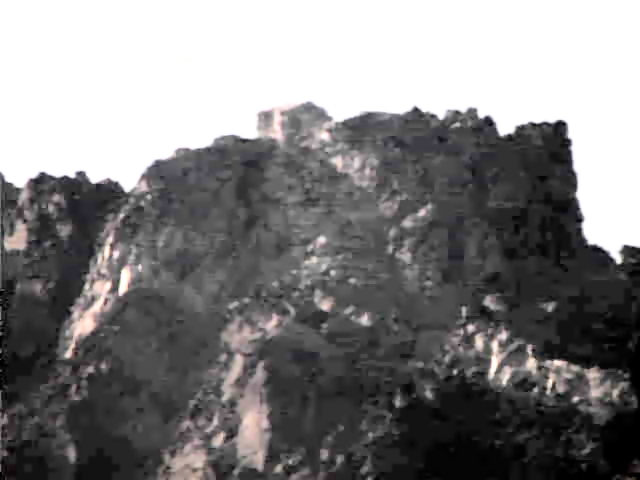 ���C�u�J����