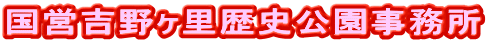 ���c�g�샖�����j����������