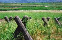 三基枠水制