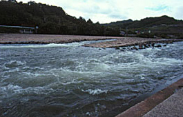 山田堰（朝倉町）