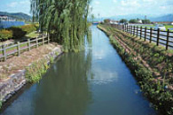 山田堰からの水を導く堀川用水（朝倉町）