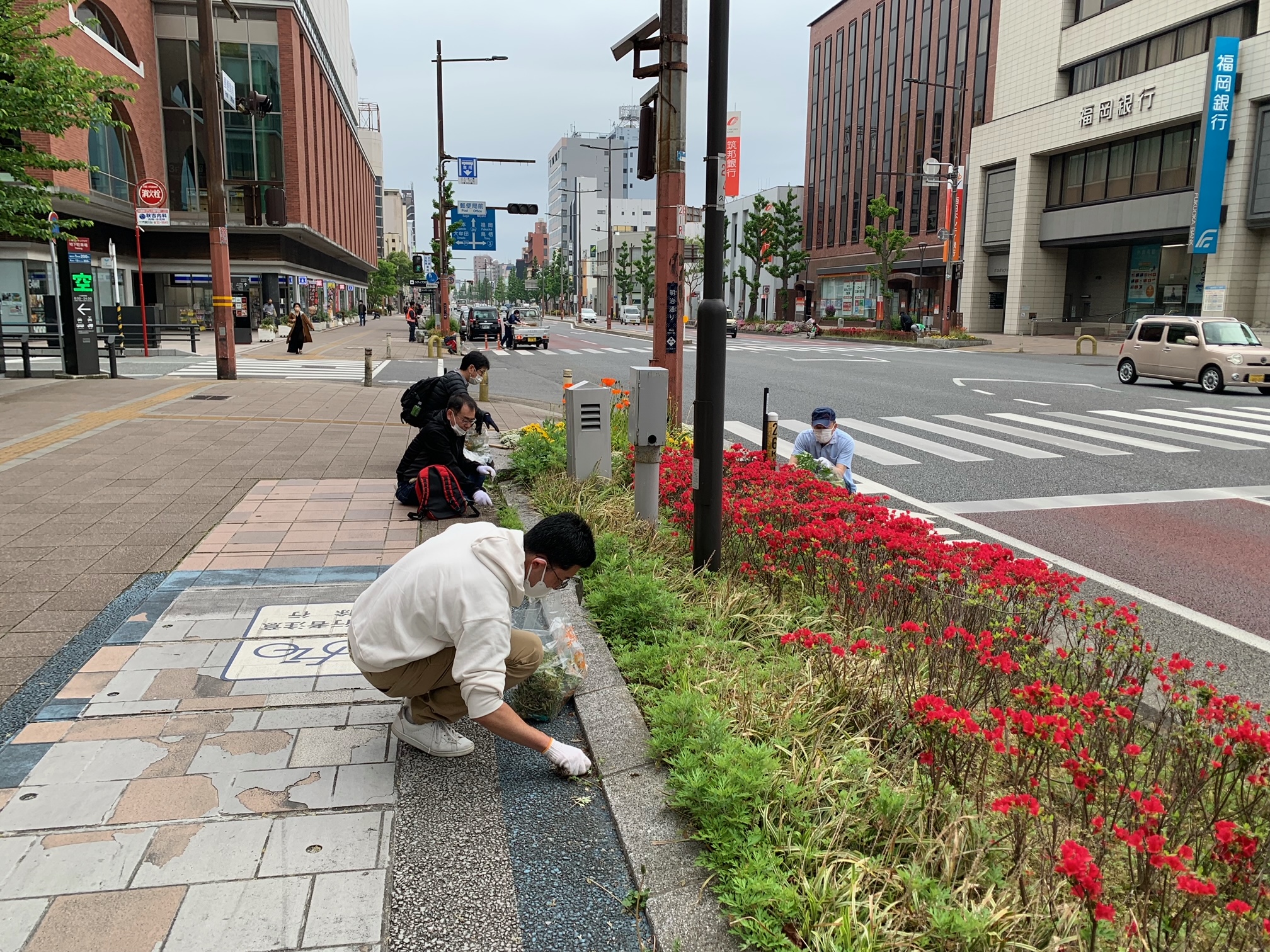 道守花植え