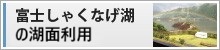 富士しゃくなげ湖周辺の催し