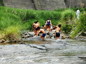 水生生物調査