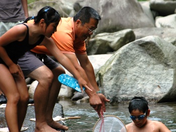 水生生物調査