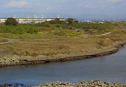 護岸補修前（中無田地区1）