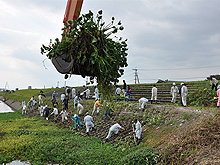 Ｈ２４年　加勢川一斉除去作業