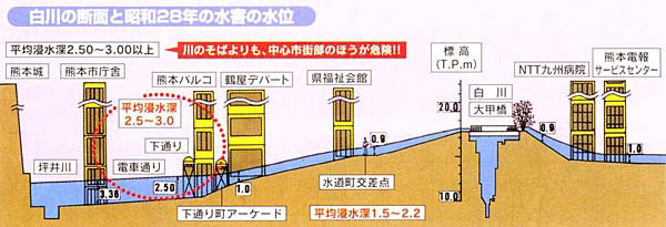 白川の断面と昭和28年の水害の水位