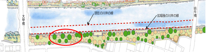 立曳き工法による樹木移植