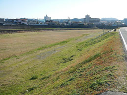 本明川の堤防写真