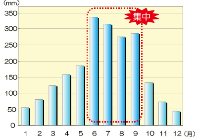 今市観測所月別平均雨量