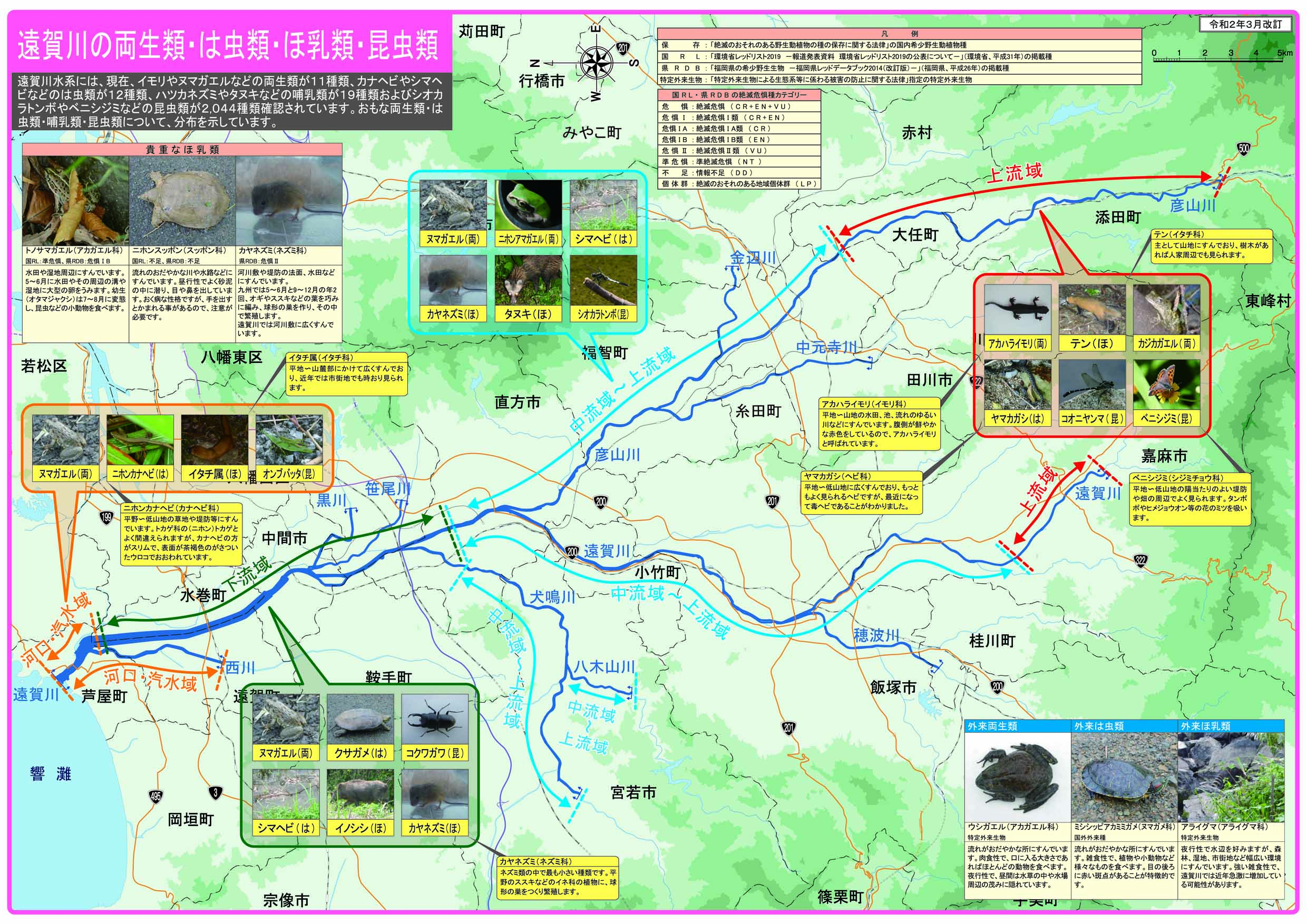 遠賀川の両生類・は虫類・ほ乳類・昆虫類