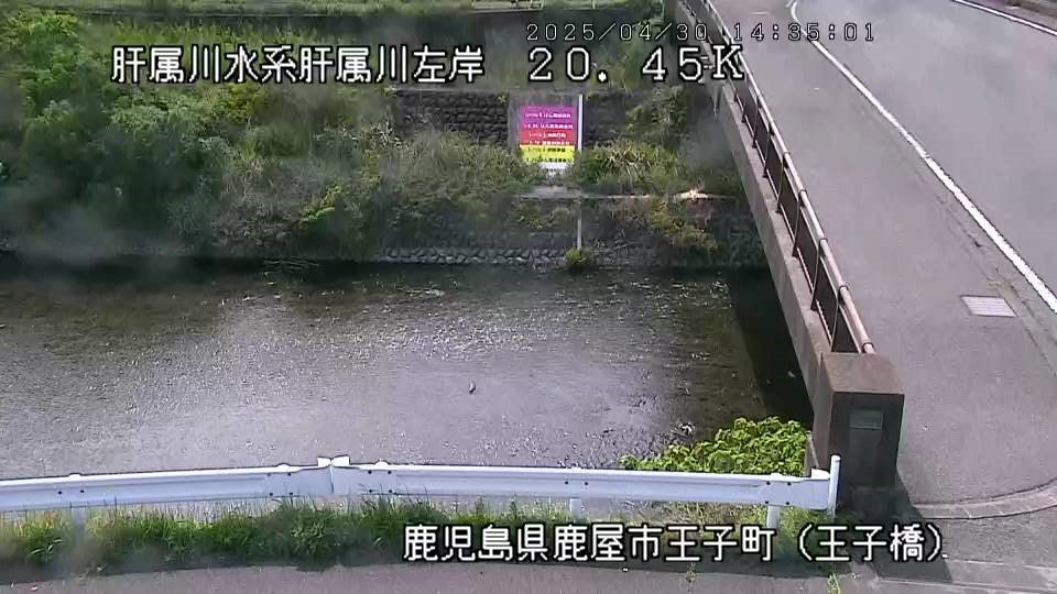 肝属川 王子橋