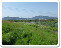 松浦川写真3