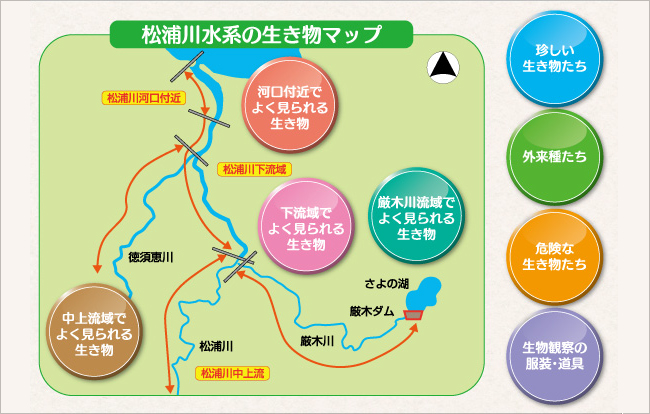 松浦川水系の生き物マップ