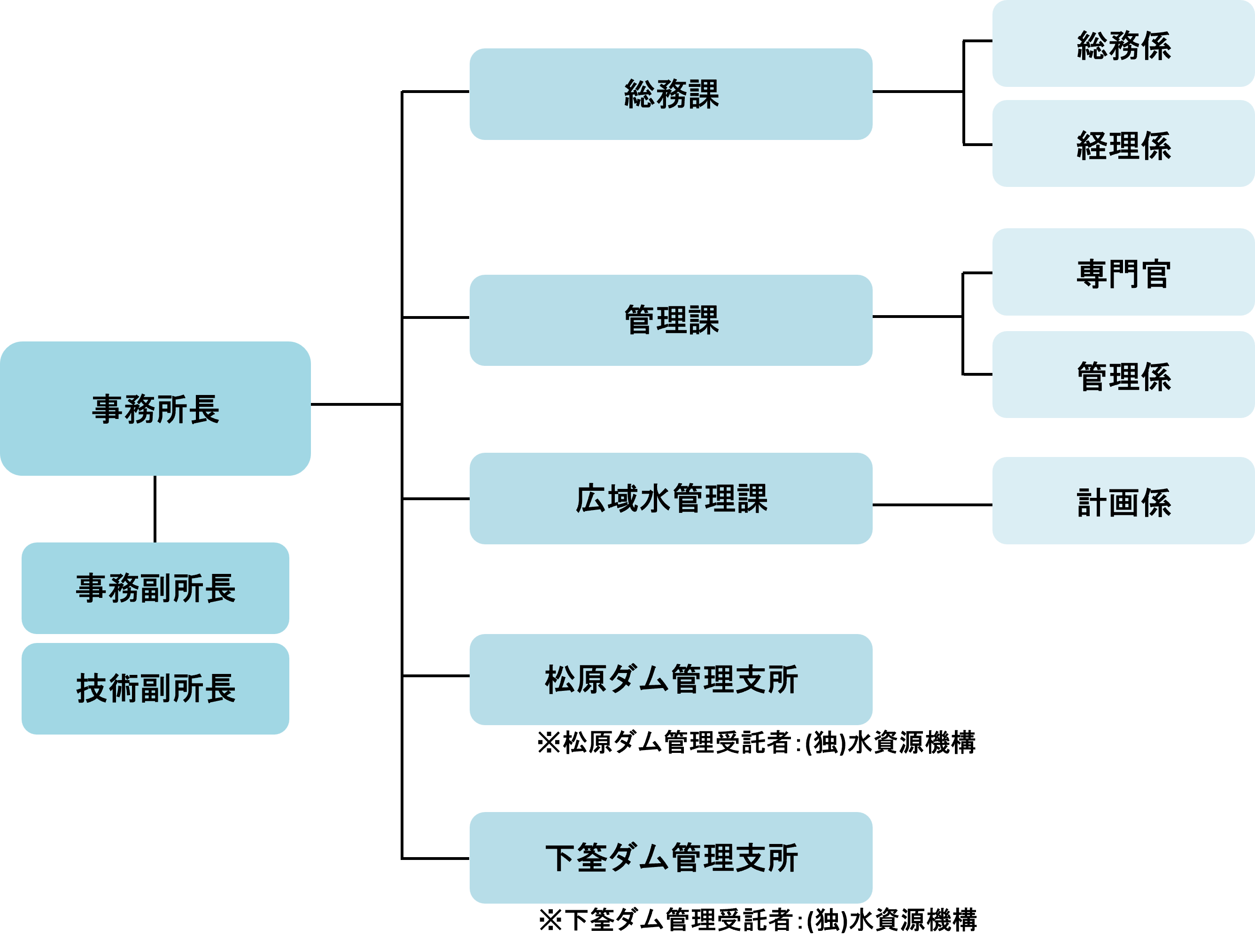 組織
