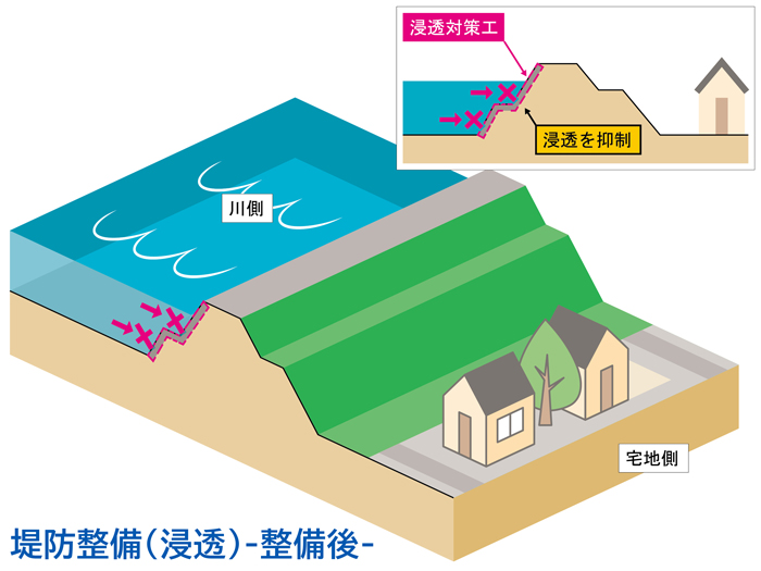 堤防整備（浸透）（整備後）